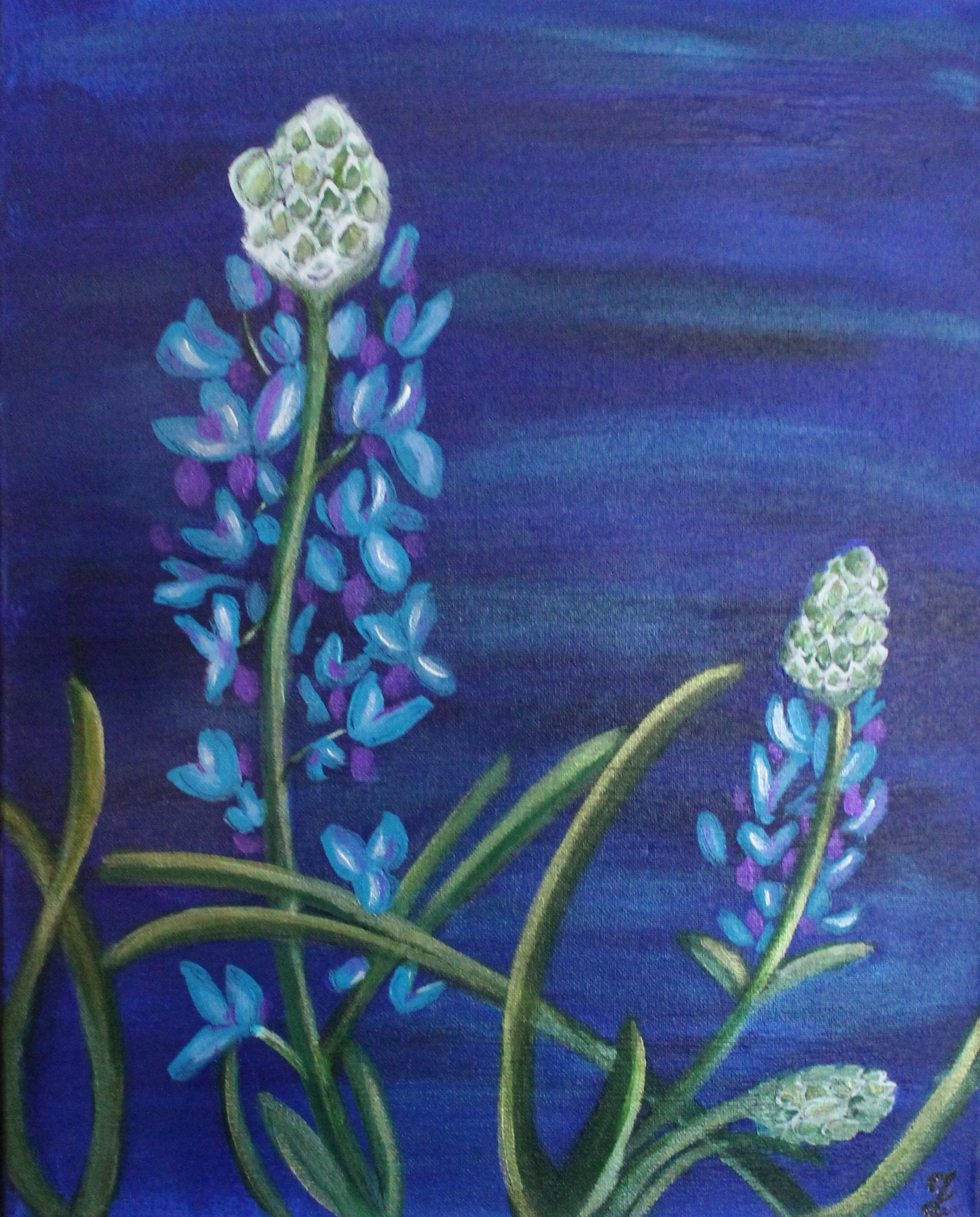 Blue Bonnet | Original Art