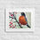 Thumbnail: Red breasted robin print