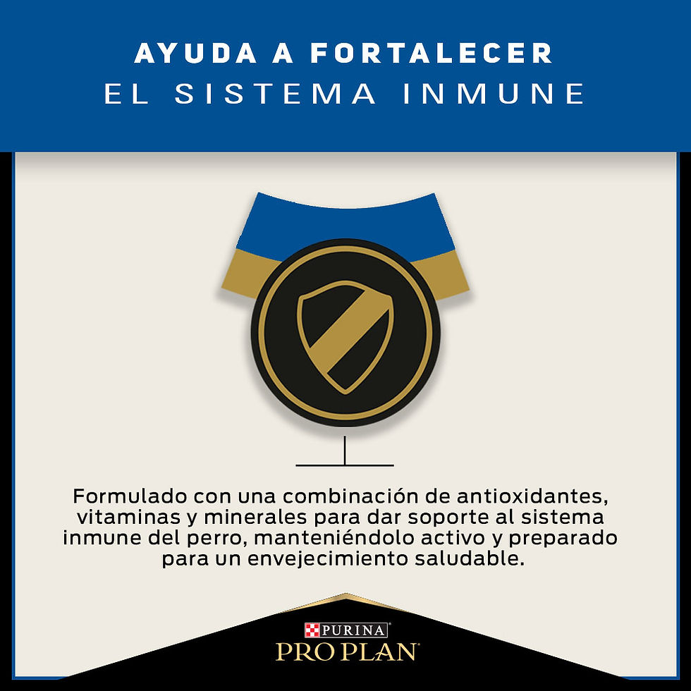 Miniatura: Comida para Perros adultos +7 años razas pequeñas Purina® Pro Plan®