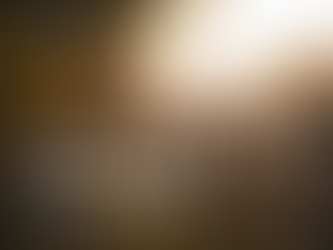 Image of fence and landscape during golden hour