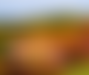 Moving to Powell, Ohio: The Ultimate Relocation Guide