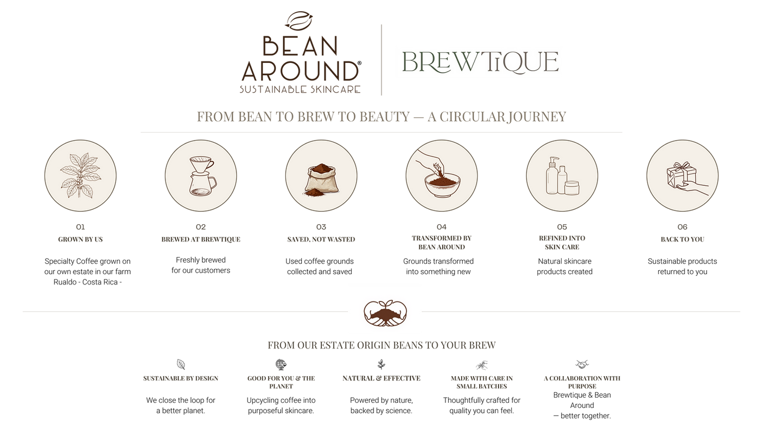 Brewtique & Bean Around.png