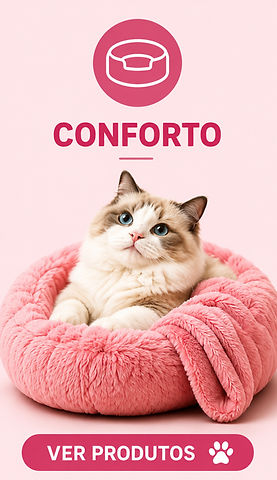 Conforto_edited.jpg