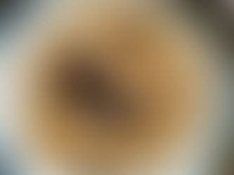 Mushroom and Crème Fraîche Orzo