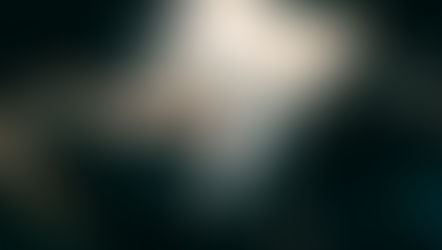 Hand holding a Canadian 5-dollar bill near a black leather bag in dim lighting.