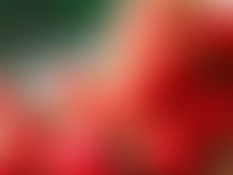 La competitividad de las fresas (Fragaria spp.) mexicanas en el mercado nacional, regional y de Estados Unidos