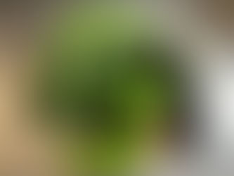 夏の楽しみと、ちょっと気になる発見
