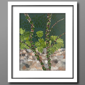 Jaboticaba em flor