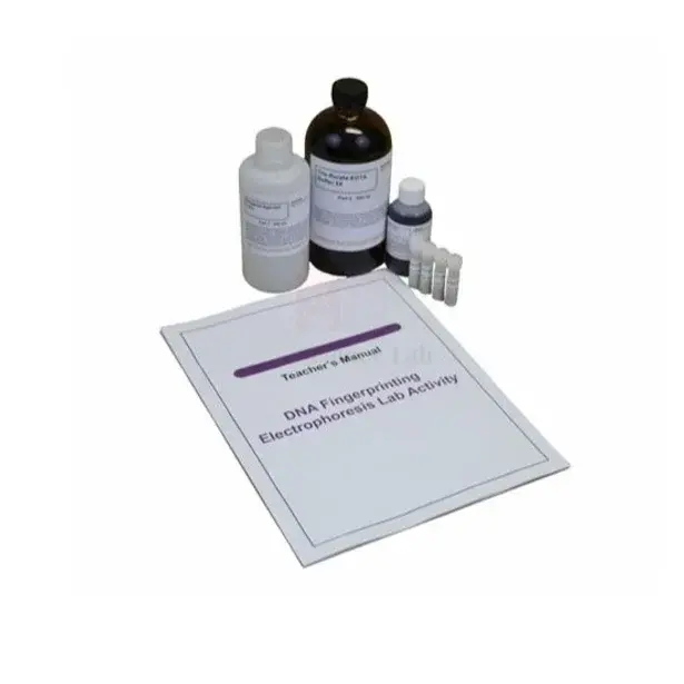 DNA fingerprint electrophoresis