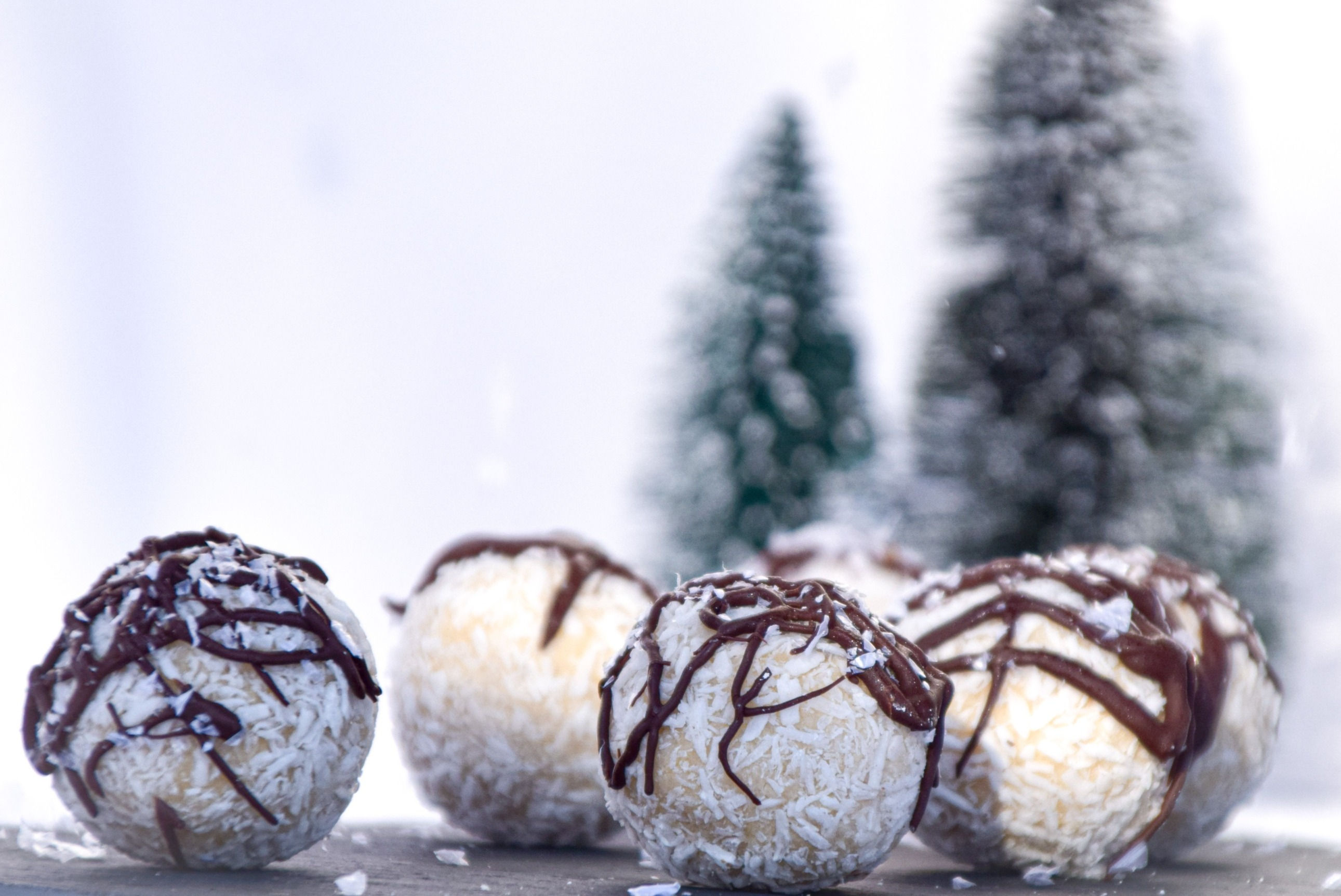 Coconut Almond Protein Balls