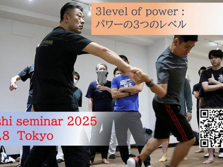 大西亮一東京システマセミナー2025　