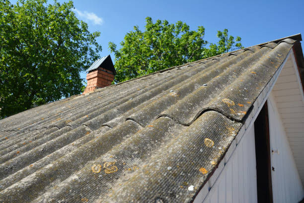 What the asbestos consultants do?