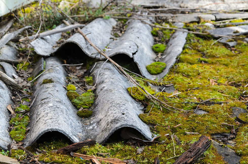 How you can benefit from availing professional asbestos surveys in the UK
