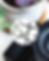 Camera and plant with ASG logo watermark