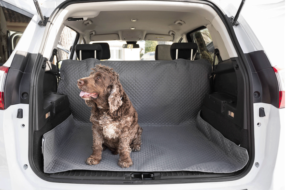 Telo protettivo auto per Cani