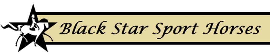 header.png