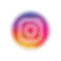 Instagram Icon The Nut House Link 