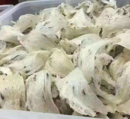 【e南洋商报】近6亿元燕窝等输华 燕窝总会拟备忘录呈农部