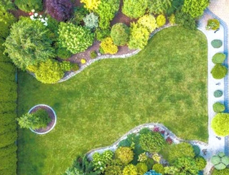 beautiful-residential-mature-garden-aeri