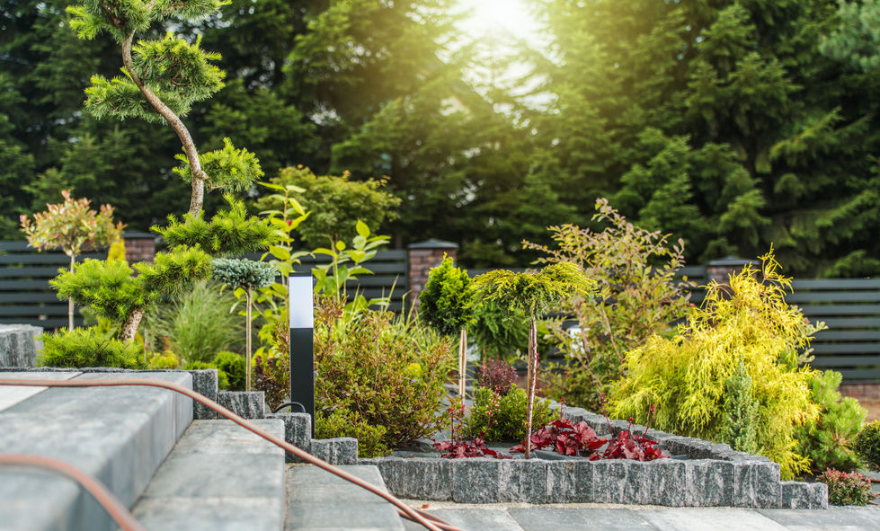 residential-backyard-garden-landscaping-design-2026-03-24-04-47-41-utc