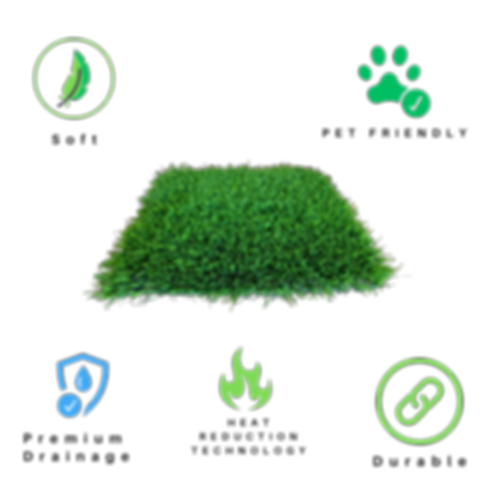 EverLush Logo-7.png