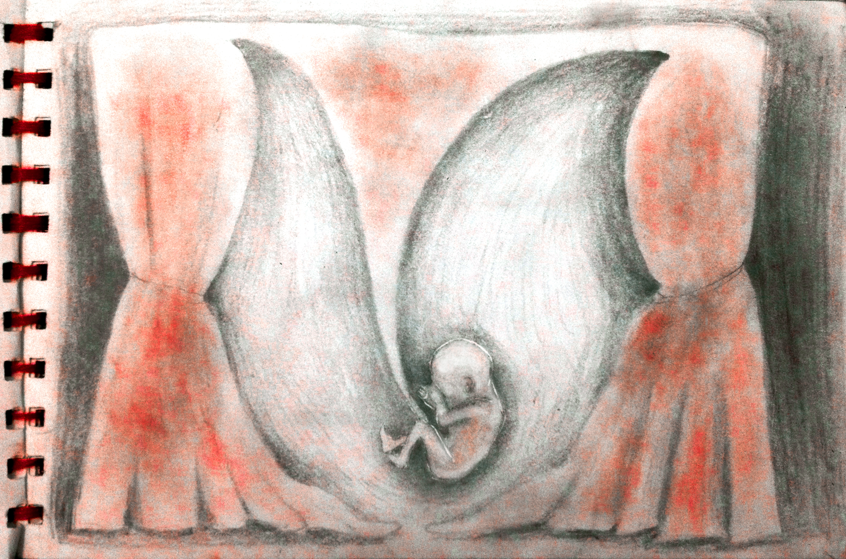 Dibujo