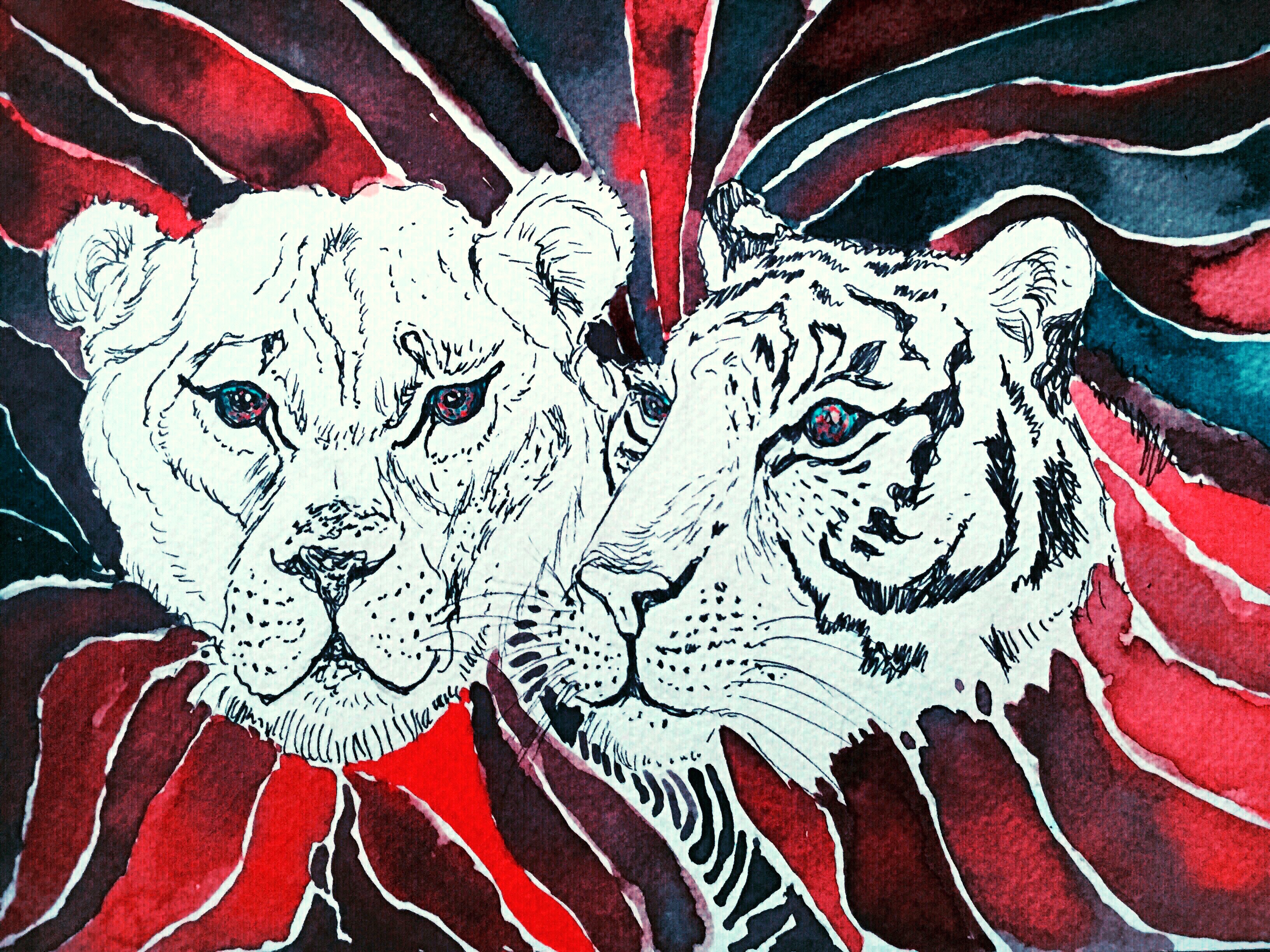 Ilustración