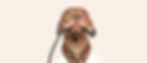 main_fb_optimized-min.jpg