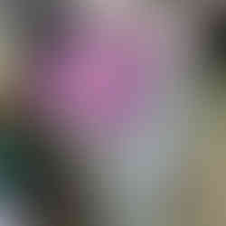 CVTFチェンジャー