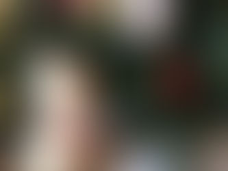 わがやのクリスマスツリー