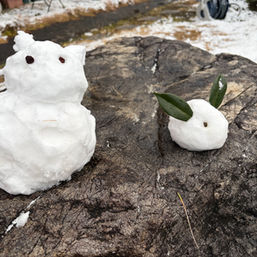 清水で積雪!☃️