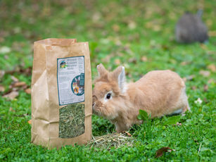Kaninchen mit Samerberger Wiesenkräuter