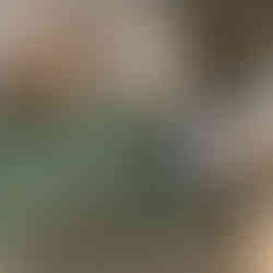 Kundenbild Meerschweinchen und Samerberger Heu