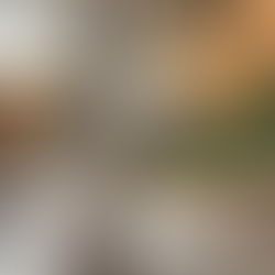 Flauschiges Kaninchen steht aufrecht und frisst frisches Heu – natürliche Zahnpflege durch ständiges Kauen