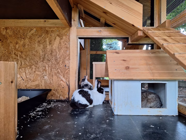 Kaninchengehege von Florian vom Tierparadiesd FB