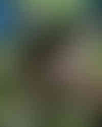 Rehkitzrettung gesichertes Kitz