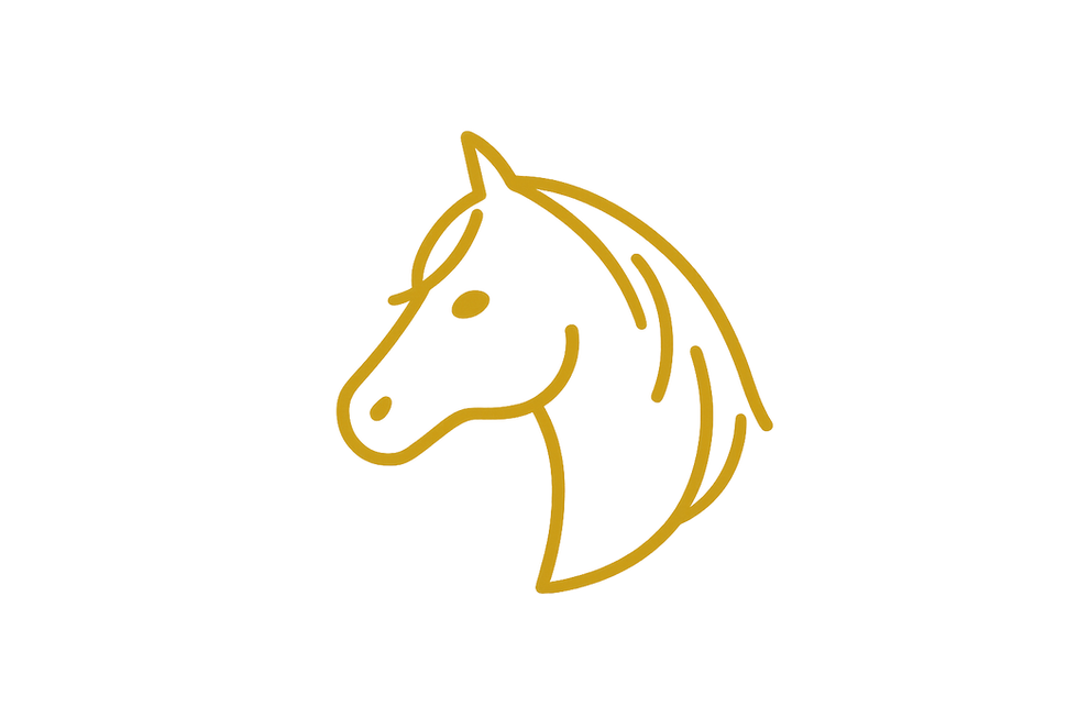 Third Icon.png