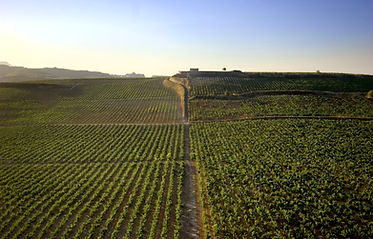 000255-Archivo Bodegas López de Heredia Viña Tondonia-Foto Pepe Franco copy.jpg