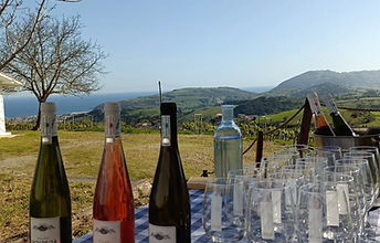 Screenshot 2026-04-23 at 4.23.44 PM.png