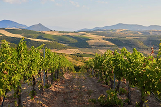 Screenshot 2026-04-22 at 3.56.03 PM.png