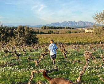 Screenshot 2026-04-21 at 9.58.54 AM.png