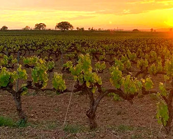 Screenshot 2026-04-22 at 2.49_edited.jpg