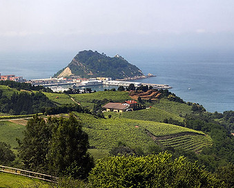 getaria-vineyards-san-anton-mountain-new.jpg