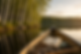ChatGPT Image Jun 29, 2026 at 03_18_53 PM.png