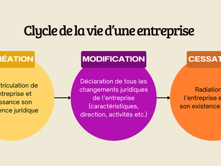 Cycle de la vie d'une entreprise