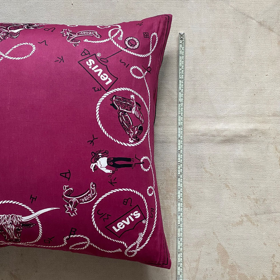 縮圖：NEW OLD STOCK 60-70’s LEVI’S BANDANA CUSHION