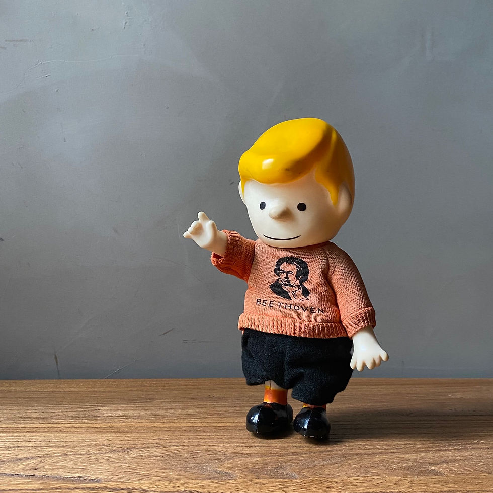 섬네일: 60’s PEANUTS POCKET DOLL SCHROEDER WITH BEETHOVEN SWEATSHIRT 