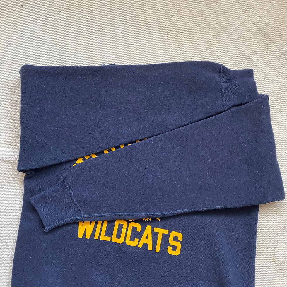 Thumbnail: 60’s CHAMPION WILDCATS SWEATSHIRT