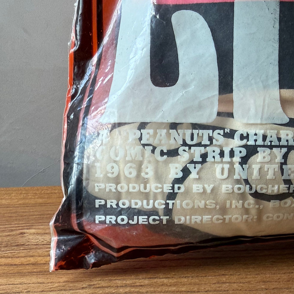 縮圖：60’s LINUS PILLOW DOLL WITH ORIGINAL BAGGED