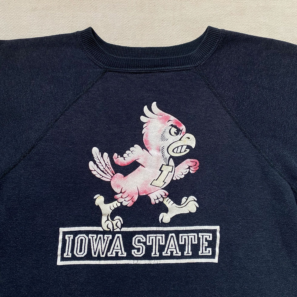 섬네일: 70’s COLLEGIATE PACIFIC COLOR FLOCKY “IOWA STATE” SWEAT SHIRT 